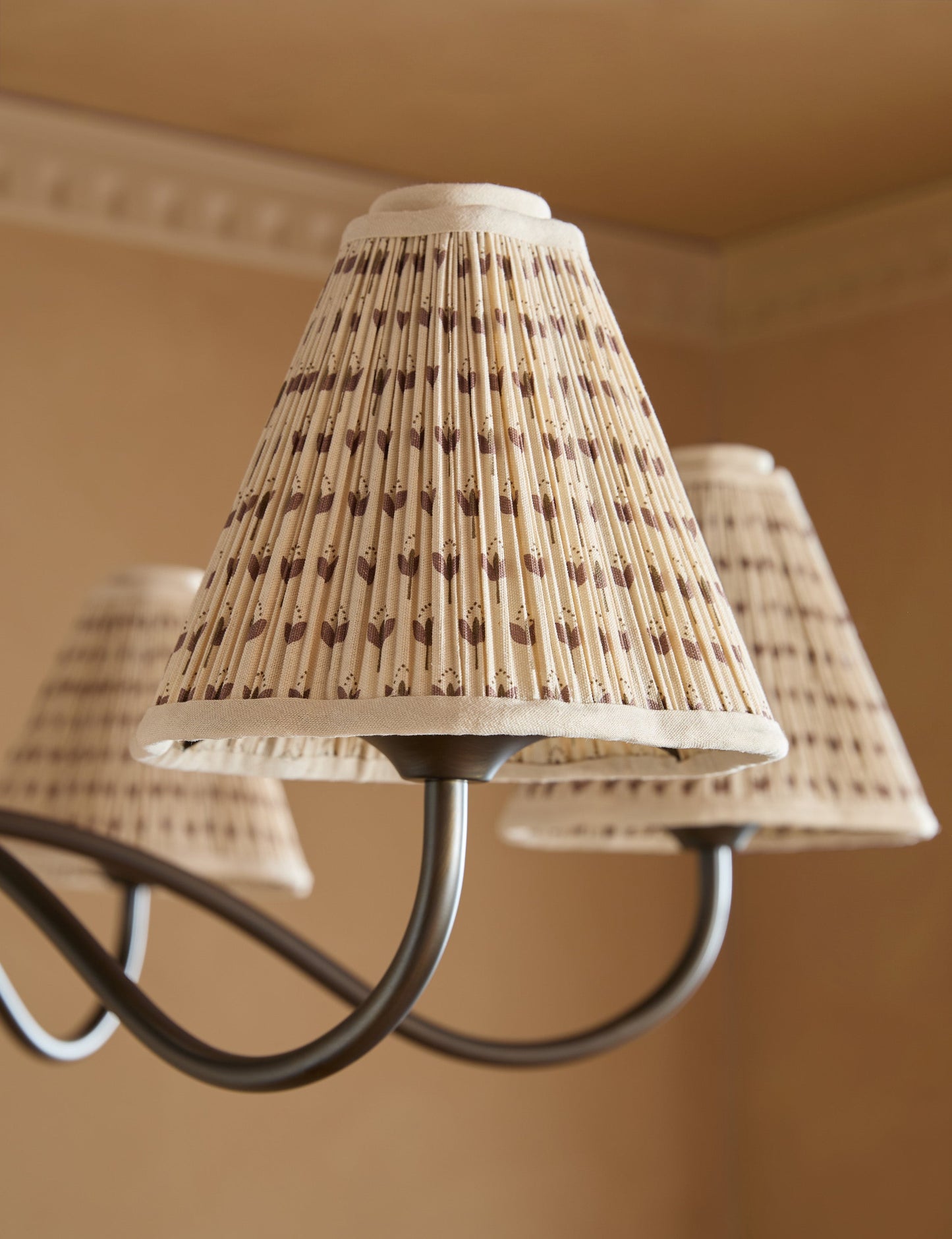 Fairfax Variety| Jordan Chandelier
